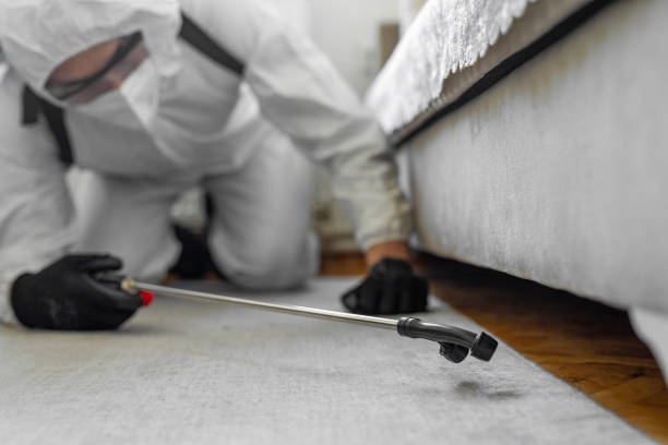 Professional Bed Bug Control technician working in Regency at Monroe, NJ