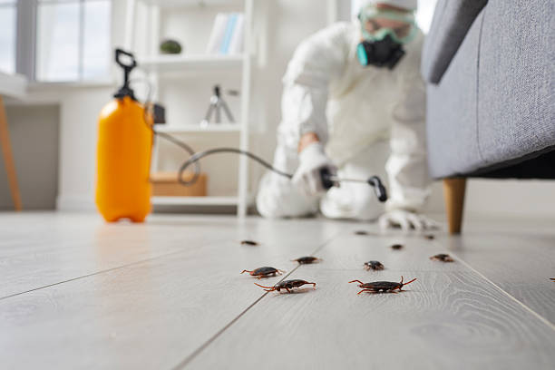 Trusted Emergency Pest Control service in Regency at Monroe, NJ - Nex Pest Control