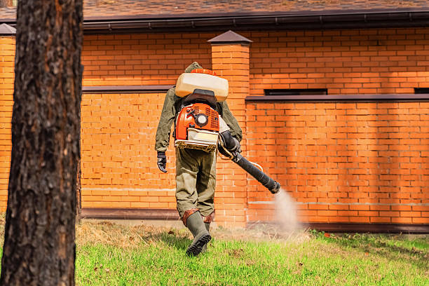 Trusted Bed Bug Control service in Regency at Monroe, NJ - Nex Pest Control